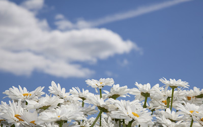 Similar image 1524628