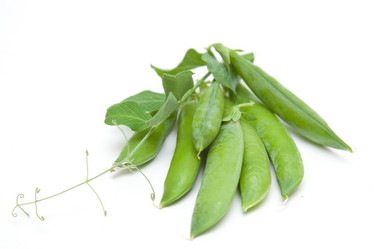 Similar image 1524630