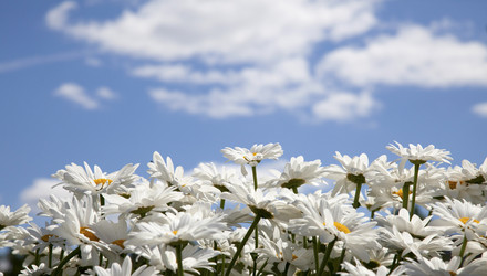 Similar image 1524631