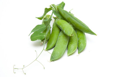 Similar image 1524632