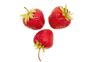 Similar image 1524634