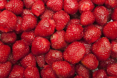 Similar image 1524635