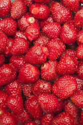 Similar image 1524643