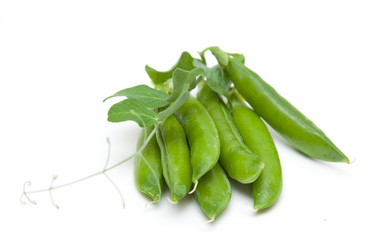 Similar image 1524644