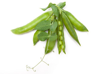 Similar image 1524647