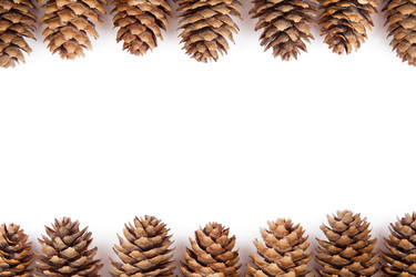 Similar image 1524650