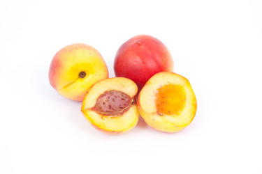 Similar image 1524654