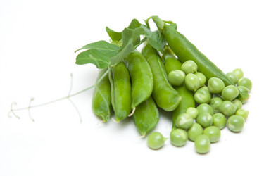 Similar image 1524655