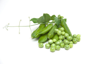 Similar image 1524656