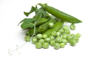 Similar image 1524657