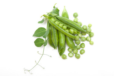 Similar image 1524659