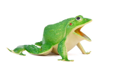 Similar image 1524663