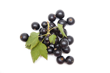 Similar image 1524688