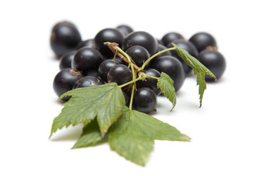 Similar image 1524689