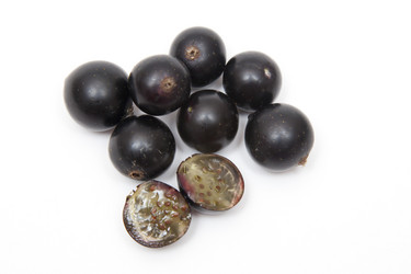 Similar image 1524691