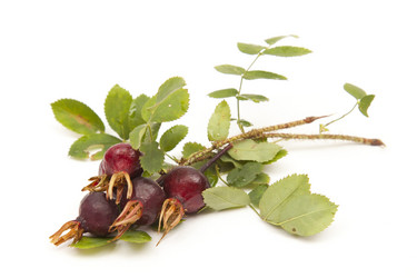 Similar image 1524692