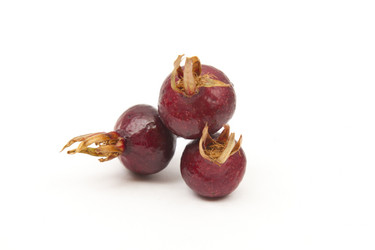 Similar image 1524694