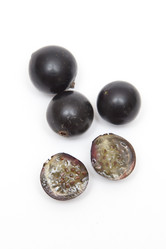 Similar image 1524696