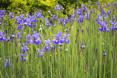 Similar image 1524837