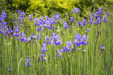 Similar image 1524838