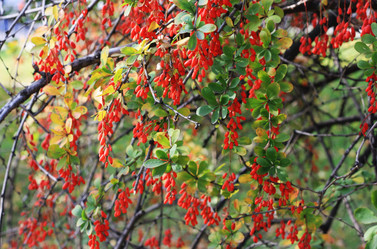 Similar image 1524905