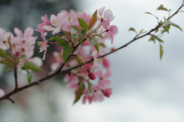 Similar image 1525123