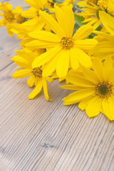 Similar image 1525143