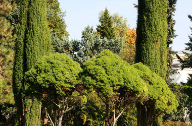 Similar image 1525145