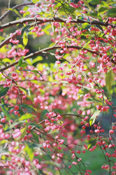 Similar image 1525146