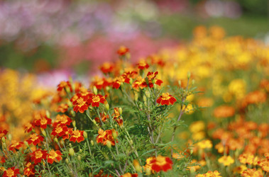 Similar image 1525147