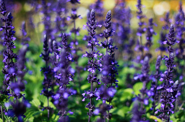 Similar image 1525148