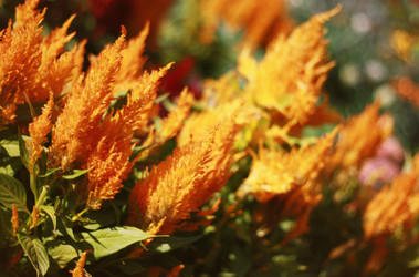 Similar image 1525150