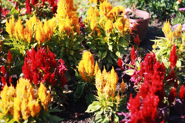 Similar image 1525151