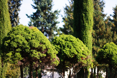 Similar image 1525164