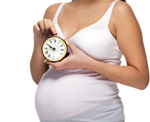 Similar image 1525266