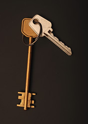 Similar image 1525329