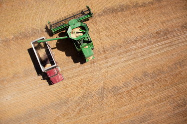 Similar image 1526454