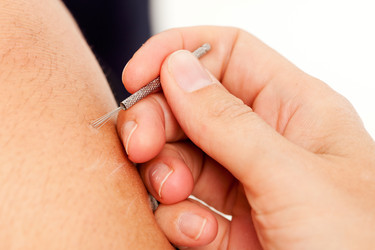 Similar image 1526502