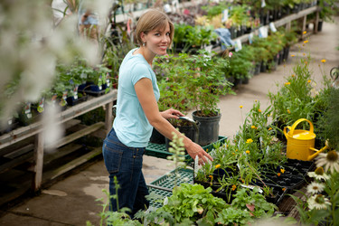 Similar image 1526598