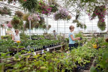 Similar image 1526604