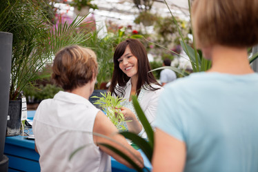 Similar image 1526606