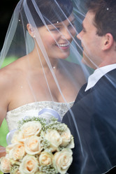 Similar image 1526777