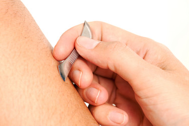 Similar image 1526822