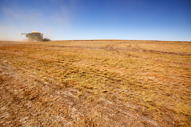 Similar image 1526849