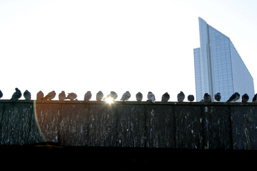 Similar image 1526860