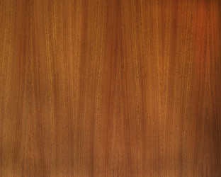 Similar image 1526882