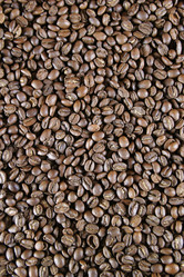 Similar image 1526967