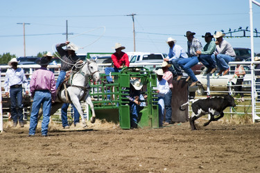 Similar image 1526968