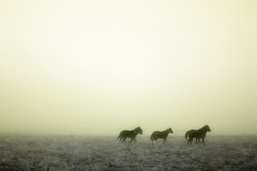 Similar image 1527077