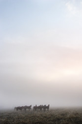 Similar image 1527080